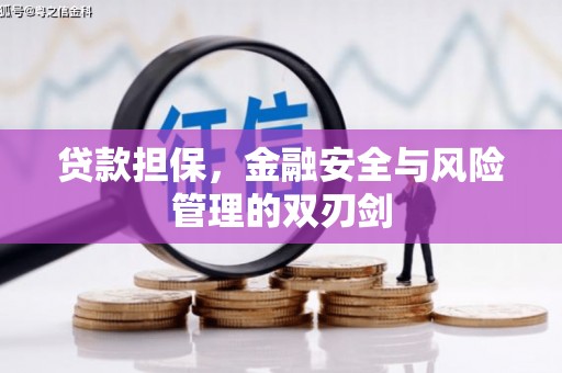 武义贷款担保，金融安全与风险管理的双刃剑