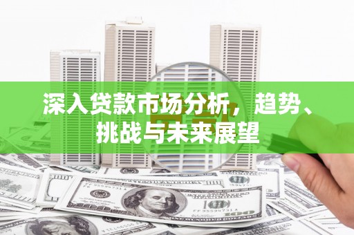 武义深入贷款市场分析，趋势、挑战与未来展望