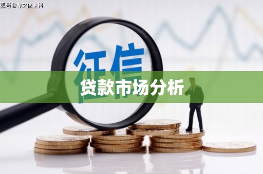 武义贷款市场分析