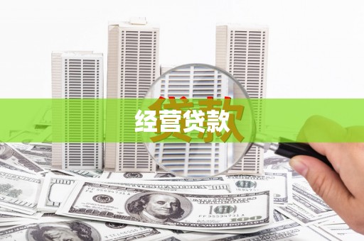 武义经营贷款