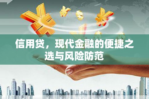 武义信用贷，现代金融的便捷之选与风险防范