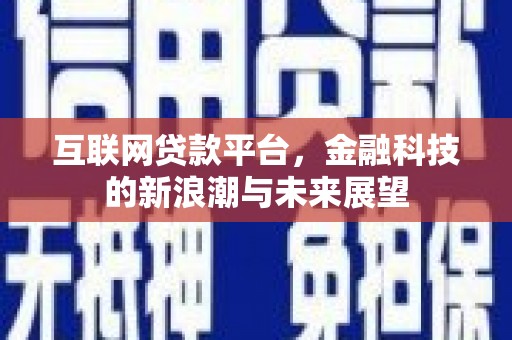 武义互联网贷款平台，金融科技的新浪潮与未来展望