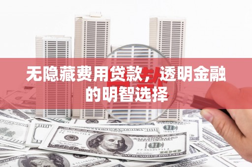 武义无隐藏费用贷款，透明金融的明智选择