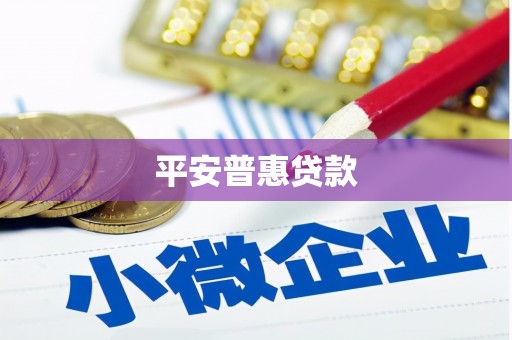 武义平安普惠贷款