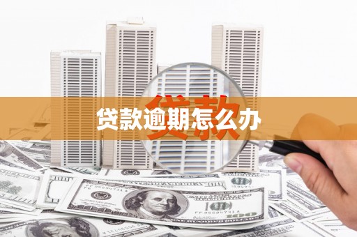 武义贷款逾期怎么办