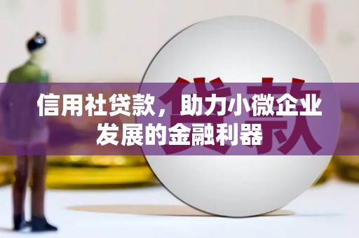 武义信用社贷款，助力小微企业发展的金融利器