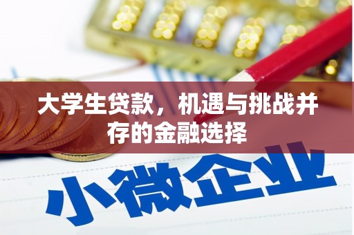 武义大学生贷款，机遇与挑战并存的金融选择