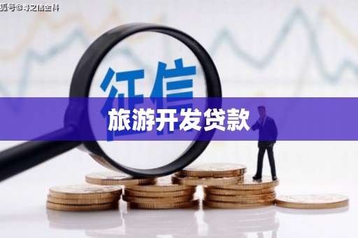 武义旅游开发贷款