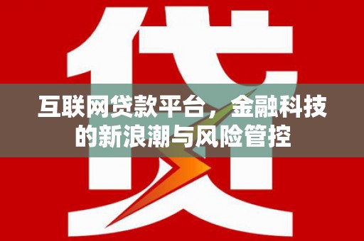 武义互联网贷款平台，金融科技的新浪潮与风险管控