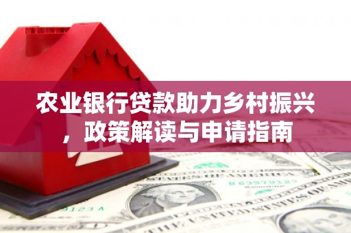 武义农业银行贷款助力乡村振兴，政策解读与申请指南