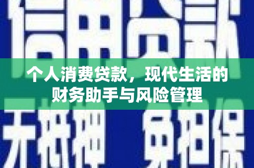 武义个人消费贷款，现代生活的财务助手与风险管理
