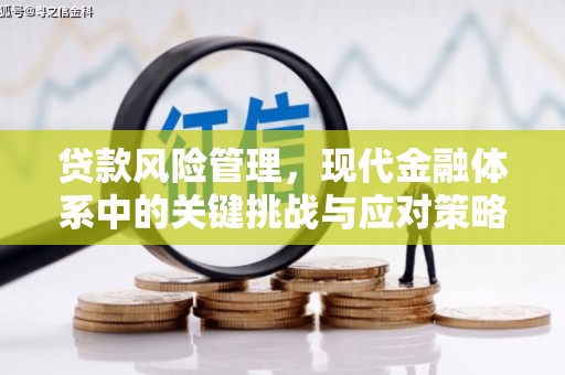 武义贷款风险管理，现代金融体系中的关键挑战与应对策略