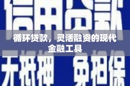 武义循环贷款，灵活融资的现代金融工具