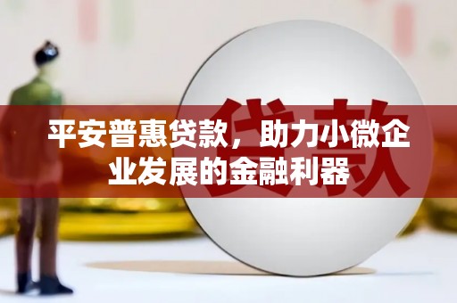 武义平安普惠贷款，助力小微企业发展的金融利器