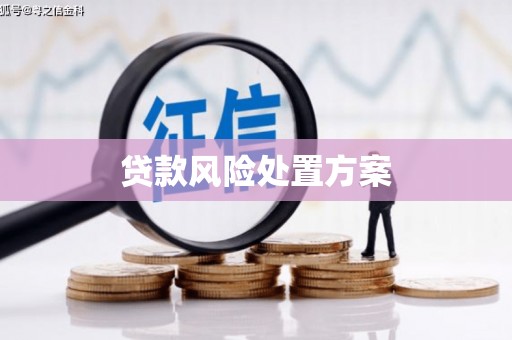 武义贷款风险处置方案
