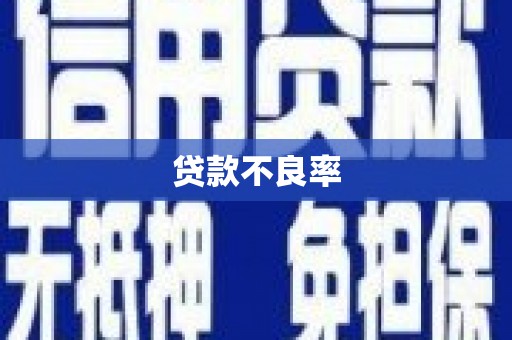 武义贷款不良率
