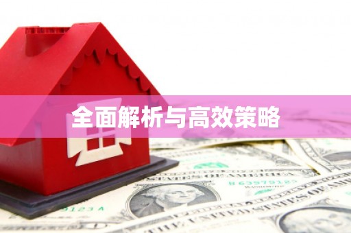 武义全面解析与高效策略