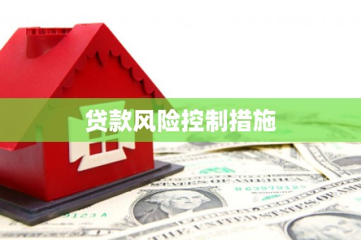 武义贷款风险控制措施