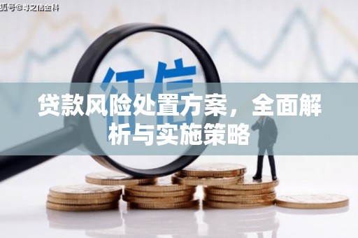 武义贷款风险处置方案，全面解析与实施策略
