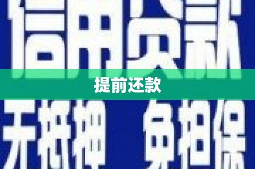 武义提前还款