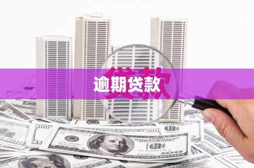 武义逾期贷款