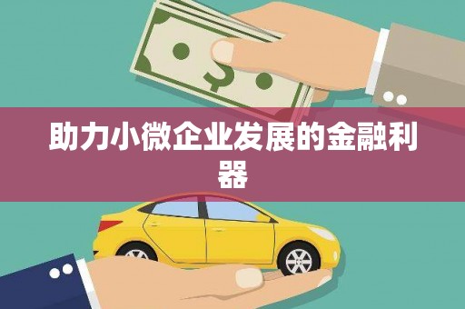 武义助力小微企业发展的金融利器