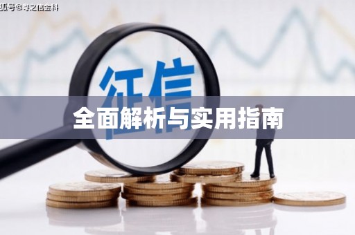 武义全面解析与实用指南