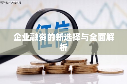 武义企业融资的新选择与全面解析