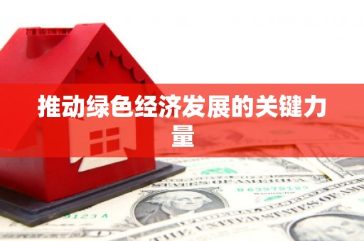 武义推动绿色经济发展的关键力量