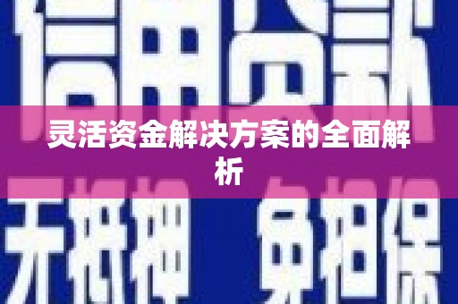 武义灵活资金解决方案的全面解析