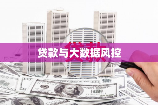 武义贷款与大数据风控
