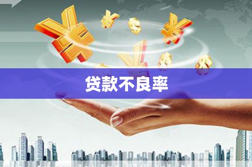 武义贷款不良率