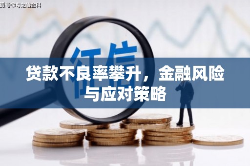 武义贷款不良率攀升，金融风险与应对策略