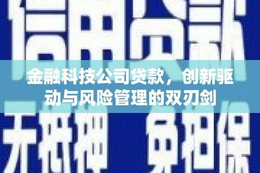 武义金融科技公司贷款，创新驱动与风险管理的双刃剑