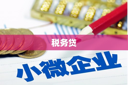 武义税务贷